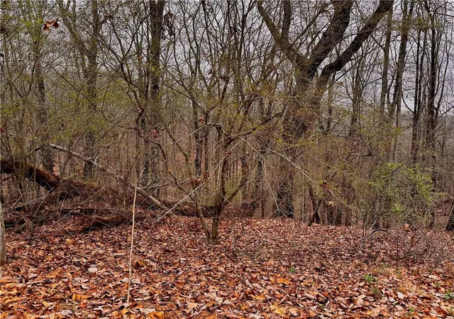 Photo 4 of Land for sale at 2598 White Sulphur Rd, Gainesville, GA 30501 | MLS# 7729317 | Listing updated on 2026-03-06