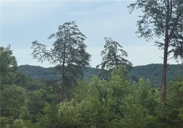 3rd image of 03 Blue Mountain Rd, Morganton, GA 30560 | MLS# 7785249