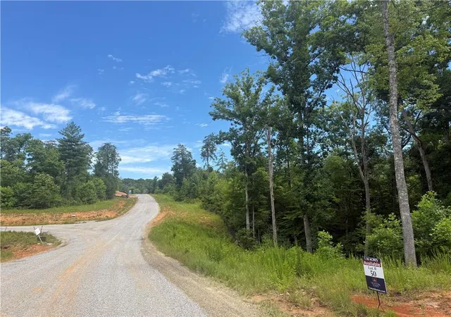 4th image of 03 Blue Mountain Rd, Morganton, GA 30560 | MLS# 7785249
