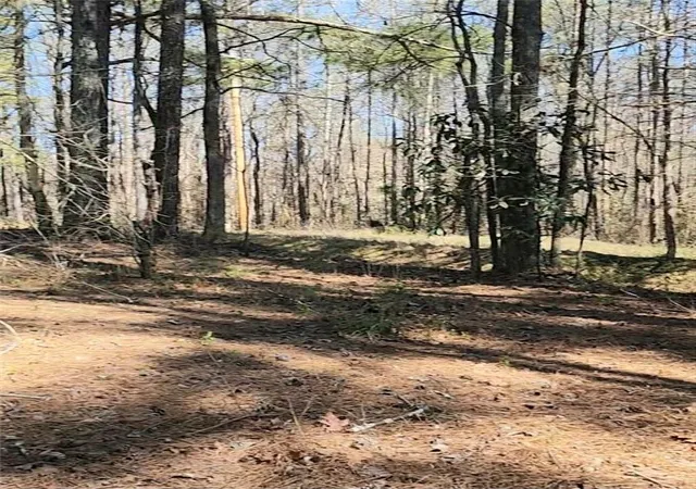 Photo 3 of Land for sale at 3274 Aaron Sosebee Rd, Cumming, GA 30028 | MLS# 7748756 | Listing updated on 2026-08-27