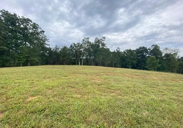 Photo 1 of Land for sale at 00 High River Rd, Ellijay, GA 30540 | MLS# 7851741 | Listing updated on 2026-10-09