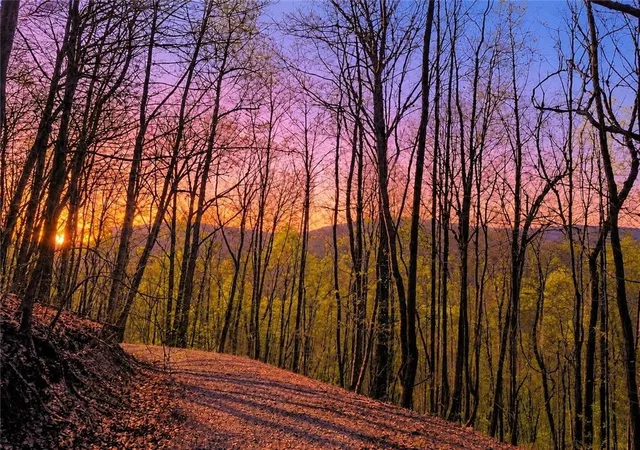 Photo 1 of Land for sale at 29 Ac Hidden Valley Dr, Ellijay, GA 30536 | MLS# 7766016 | Listing updated on 2026-09-04