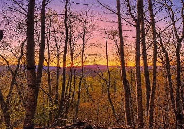 Photo 2 of Land for sale at 29 Ac Hidden Valley Dr, Ellijay, GA 30536 | MLS# 7766016 | Listing updated on 2026-09-04