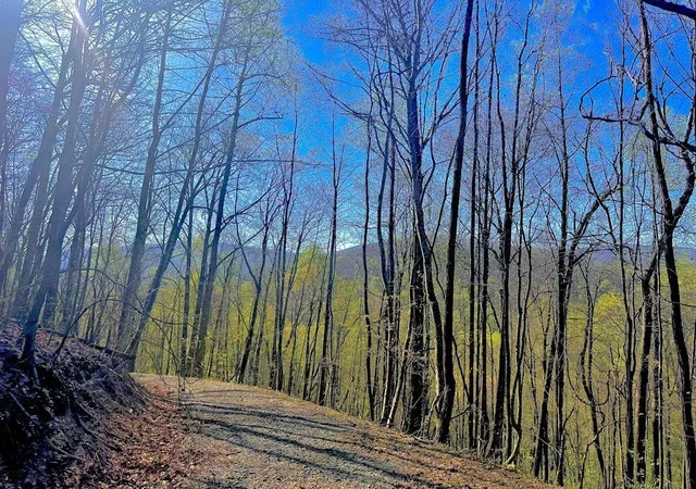 Photo 3 of Land for sale at 29 Ac Hidden Valley Dr, Ellijay, GA 30536 | MLS# 7766016 | Listing updated on 2026-09-04