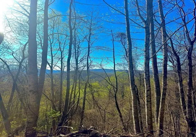 Photo 4 of Land for sale at 29 Ac Hidden Valley Dr, Ellijay, GA 30536 | MLS# 7766016 | Listing updated on 2026-09-04