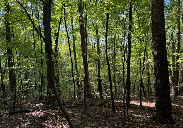 Photo 1 of Land for sale at 0 Mountain View Ct Way, Ellijay, GA 30536 | MLS# 7850283 | Listing updated on 2026-10-07