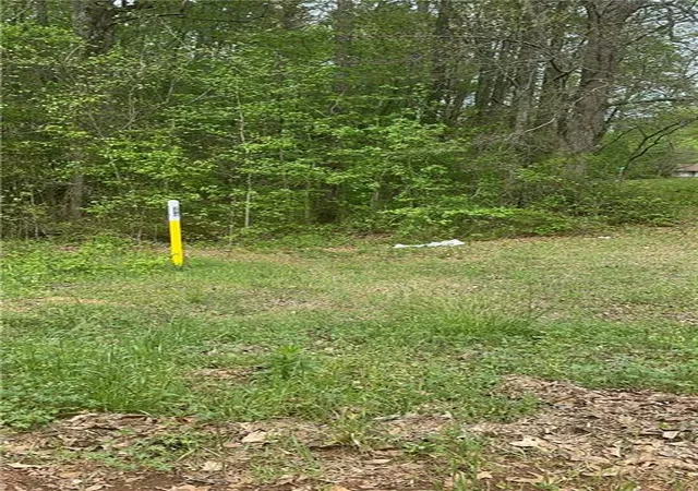Photo 3 of Land for sale at 314 W Fayetteville Rd, Riverdale, GA 30296 | MLS# 7762779 | Listing updated on 2026-08-27