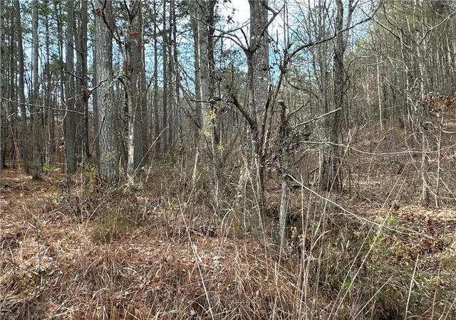 2nd image of 3472 Prior Station Rd, Cedartown, GA 30125 | MLS# 7734239