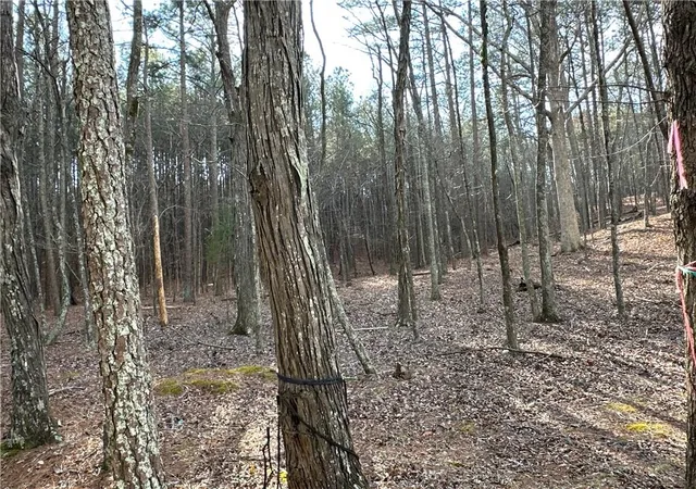 5th image of 3472 Prior Sta Rd, Cedartown, GA 30125 | MLS# 7734239