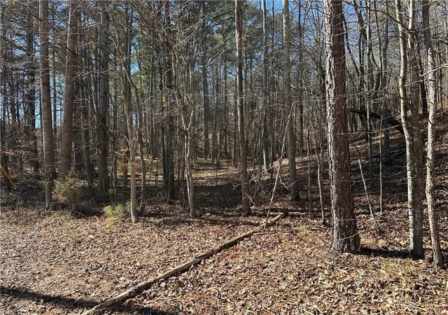 73rd image of 3472 Prior Station Rd, Cedartown, GA 30125 | MLS# 7734239