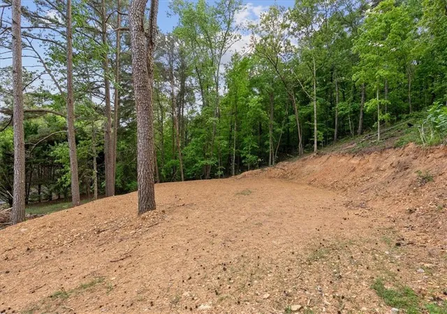 Homes for sale in Plainville, GA | 307 Moores Ferry Rd Sw, Plainville, GA 30733 | MLS# 7759800