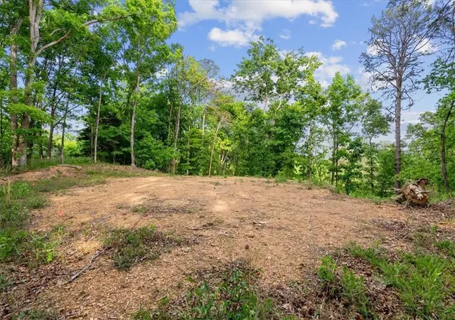 Homes for sale in Plainville, GA | 307 Moores Ferry Rd Sw, Plainville, GA 30733 | MLS# 7759800