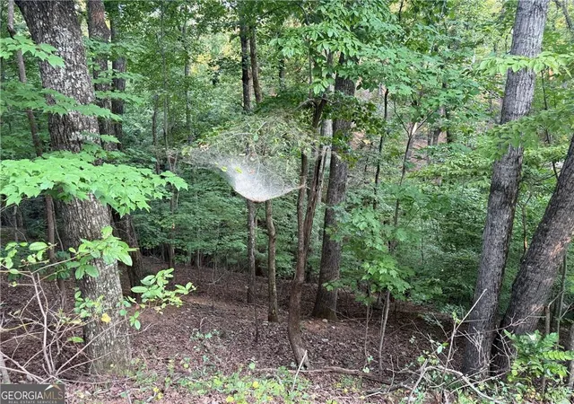 Photo 1 of Land for sale at 2329 Frd White Rd, Gainesville, GA 30506 | MLS# 7851824 | Listing updated on 2026-10-10