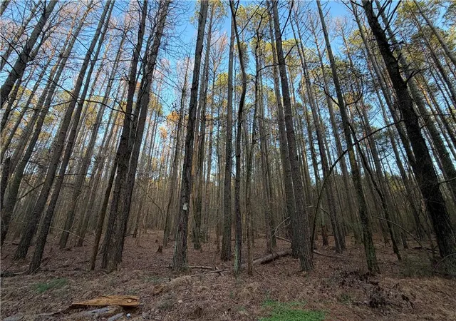 54th image of 0 Arnold Rd, Fairmount, GA 30139 | MLS# 7824645