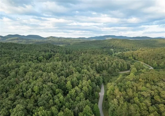 Homes for sale in Cherry Log, GA | 140 Black Oaks Rd, Cherry Log, GA 30522 | MLS# 7745132