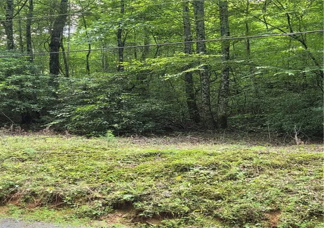 1st image of 00 Chopped Oak Rd, Ellijay, GA 30540 | MLS# 7815319