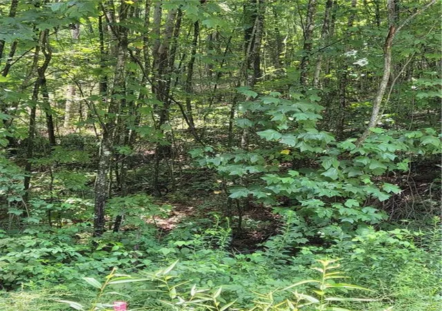 3rd image of 00 Chopped Oak Rd, Ellijay, GA 30540 | MLS# 7815319