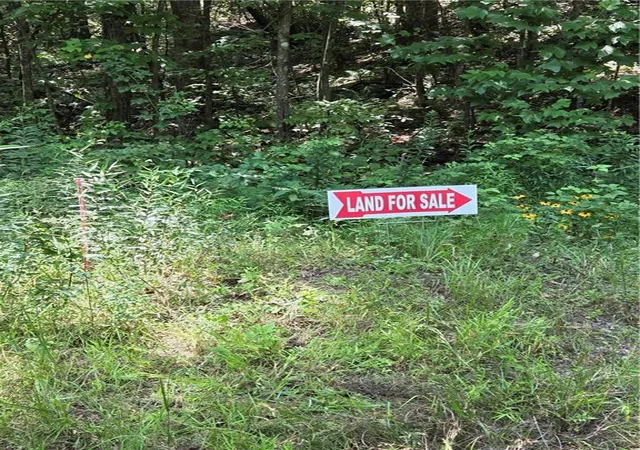 5th image of 00 Chopped Oak Rd, Ellijay, GA 30540 | MLS# 7815319