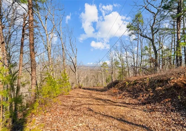 Homes for sale in Sugar Valley, GA | 571 Deerfield Lane, Sugar Valley, GA 30746 | MLS# 7791817