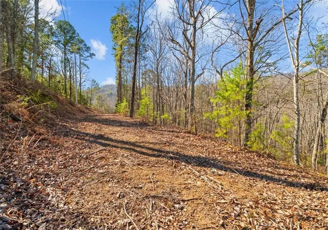Homes for sale in Sugar Valley, GA | 571 Deerfield Lane, Sugar Valley, GA 30746 | MLS# 7791817