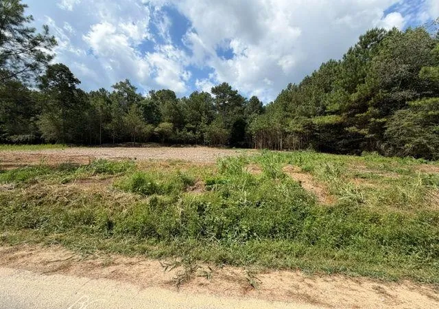 Homes for sale in Taylorsville, GA | 84 Popham Road Tract 2 & 3, Taylorsville, GA 30178 | MLS# 7803172