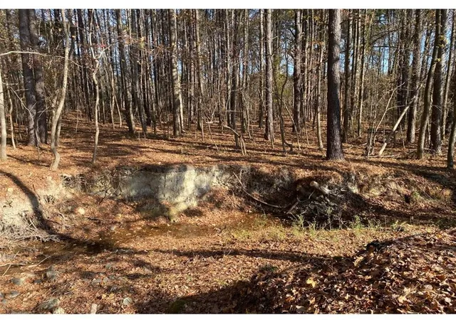 Photo 19 of Land for sale at 000 Buffington Rd #rear, Union City, GA 30291 | MLS# 7678116 | Listing updated on 2026-07-30