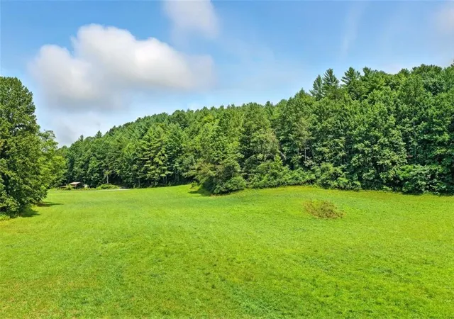 2nd image of 0 Old Bucktown Road, Ellijay, GA 30536 | MLS# 7629721
