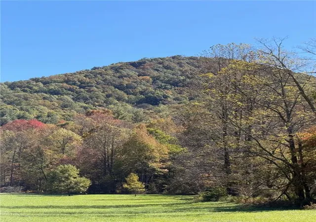 3rd image of 0 Old Bucktown Road, Ellijay, GA 30536 | MLS# 7629721