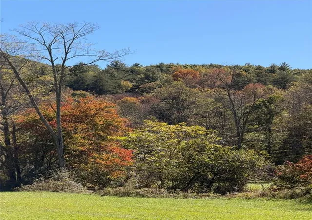 4th image of 0 Old Bucktown Road, Ellijay, GA 30536 | MLS# 7629721
