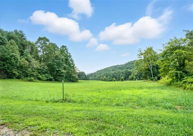 5th image of 0 Old Bucktown Road, Ellijay, GA 30536 | MLS# 7629721