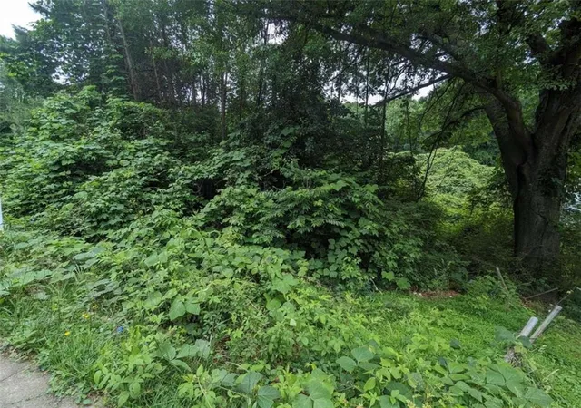 Photo 3 of Land for sale at 00 Dodson Dr, Atlanta, GA 30344 | MLS# 7388985 | Listing updated on 2026-09-16