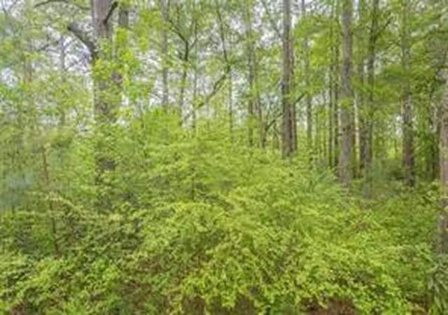 25th image of 2939 Lake Sorrento Ct, Conyers, GA 30012 | MLS# 7795642