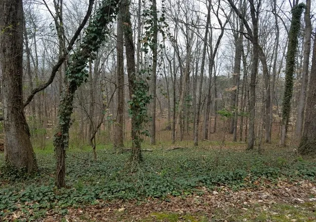 Photo 3 of Land for sale at 4633 Post Oak Tritt Rd, Marietta, GA 30062 | MLS# 7756332 | Listing updated on 2026-07-20