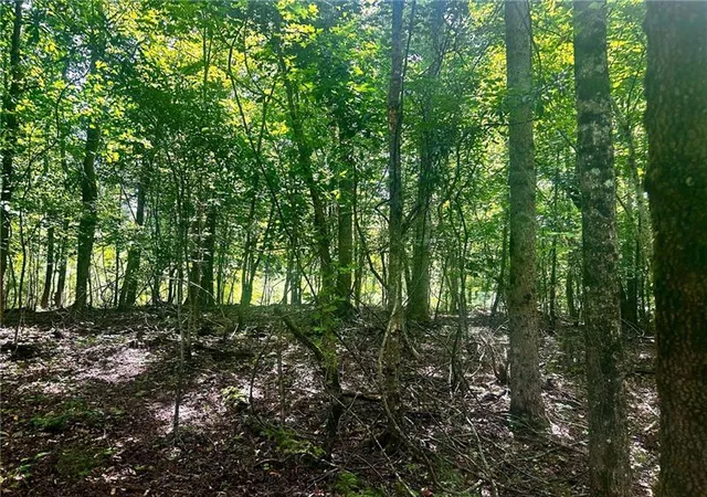 Photo 4 of Land for sale at 257 Ranchette Rd, Alpharetta, GA 30004 | MLS# 7699498 | Listing updated on 2026-07-20