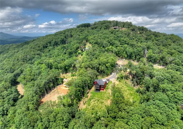 64th image of 401 Kittatinny Dr, Mineral Bluff, GA 30559 | MLS# 7815071