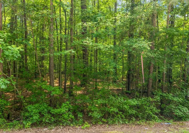 Photo 4 of Land for sale at 00 Coastline Rd, Fayetteville, GA 30214 | MLS# 7810026 | Listing updated on 2026-08-19