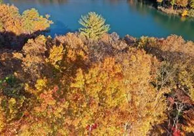 Photo 15 of Land for sale at 1048 Thrasher Way, Jasper, GA 30143 | MLS# 7774518 | Listing updated on 2026-05-24