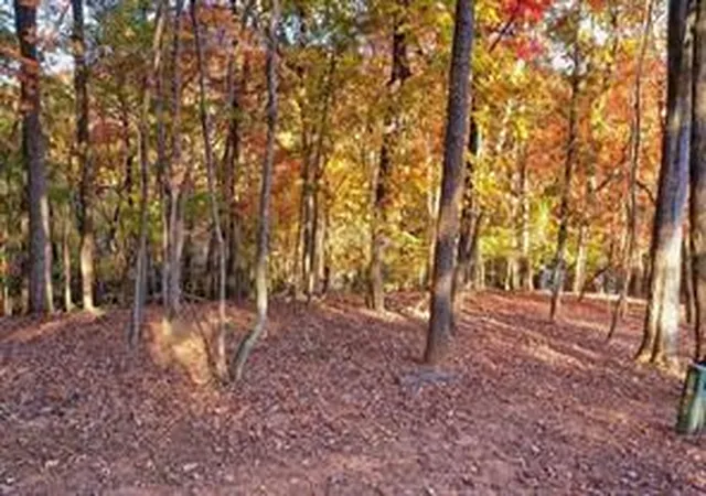 Photo 4 of Land for sale at 1048 Thrasher Way, Jasper, GA 30143 | MLS# 7774518 | Listing updated on 2026-05-24