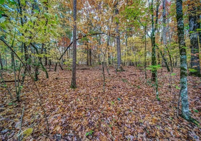 Homes for sale in Marble Hill, GA | 543 Cove Lake Dr, Marble Hill, GA 30148 | MLS# 7767184