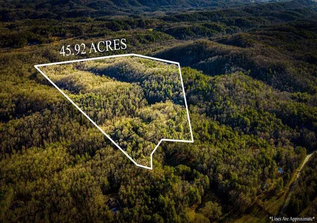 3rd image of 178 Arp Rd, Mineral Bluff, GA 30559 | MLS# 7700786