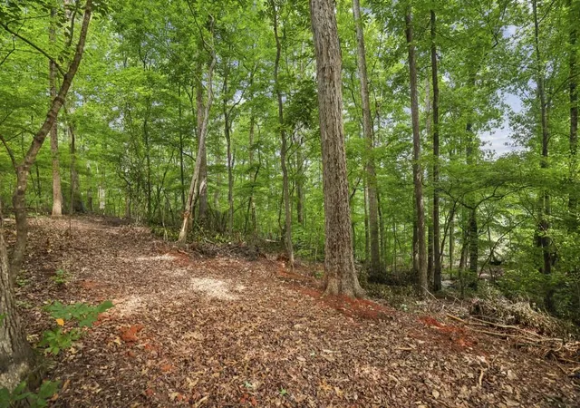 5th image of 0 Dunraven Pl, Sandy Springs, GA 30328 | MLS# 7721744
