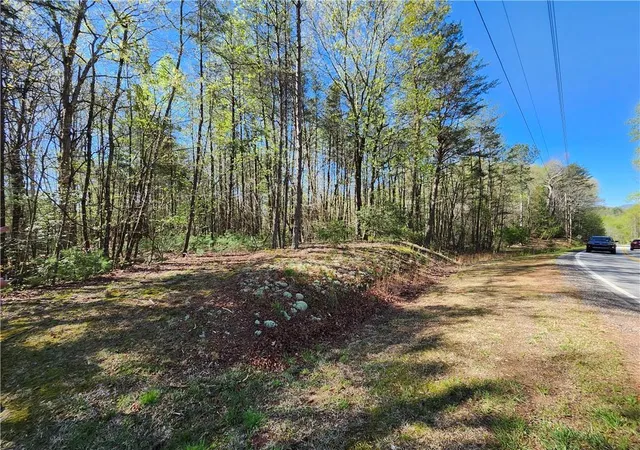 Homes for sale in Marble Hill, GA | 00 Afton Rd, Marble Hill, GA 30148 | MLS# 7558766