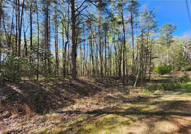 Homes for sale in Marble Hill, GA | 00 Afton Rd, Marble Hill, GA 30148 | MLS# 7558766