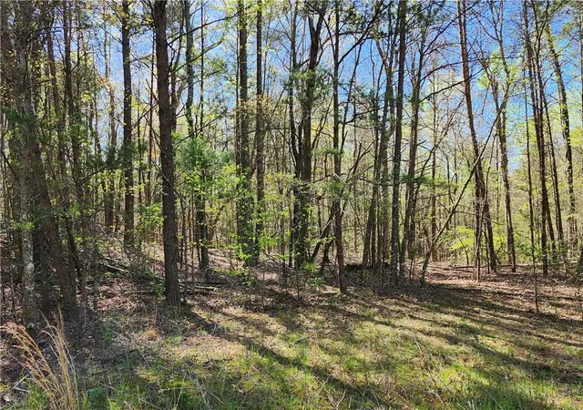 Homes for sale in Marble Hill, GA | 00 Afton Rd, Marble Hill, GA 30148 | MLS# 7558766