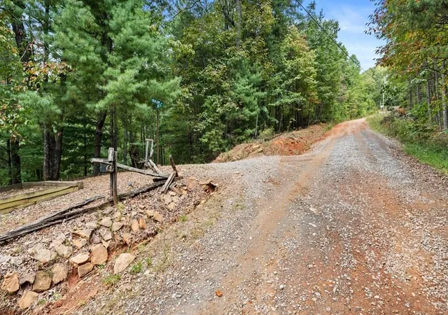 Homes for sale in Cherry Log, GA | 23 B Lake View Rd, Cherry Log, GA 30522 | MLS# 7657327