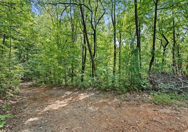 Homes for sale in Cherry Log, GA | 23 B Lake View Rd, Cherry Log, GA 30522 | MLS# 7657327