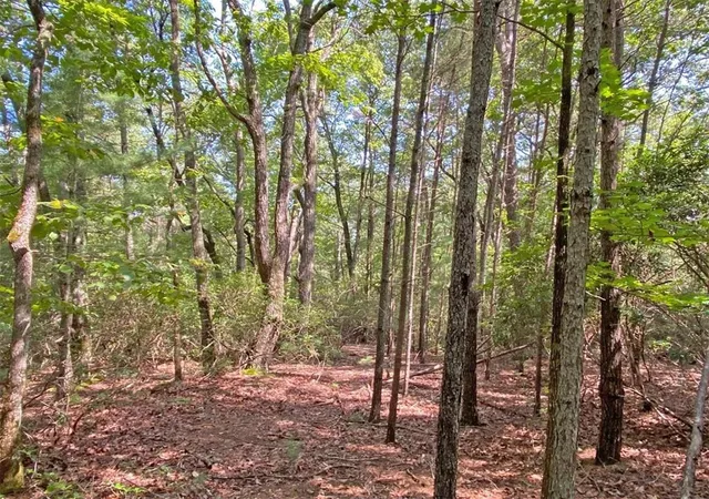 Photo 1 of Land for sale at 1059 Ac T S Jarrard Rd, Dahlonega, GA 30533 | MLS# 7823498 | Listing updated on 2026-08-19