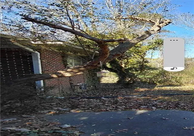 3rd image of 3026 Marietta Hwy, Canton, GA 30114 | MLS# 7686681
