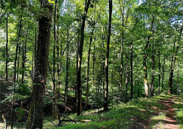 Homes for sale in Dahlonega, GA | 7123 Acres Halls Mill Rd, Dahlonega, GA 30533 | MLS# 7752122