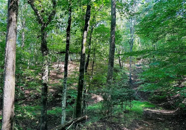 Homes for sale in Dahlonega, GA | 7123 Acres Halls Mill Rd, Dahlonega, GA 30533 | MLS# 7752122